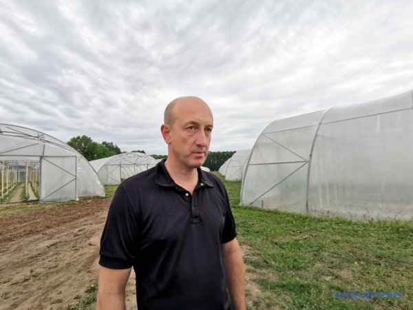 Грушеві сади і теплиці з суницею. Як допомагають державні гранти Грушеві сади і теплиці з суницею. Як допомагають державні гранти