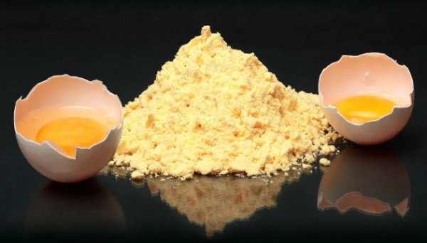 Канада відкрила для українських виробників ринок експорту яєчних продуктів Канада відкрила для українських виробників ринок експорту яєчних продуктів
