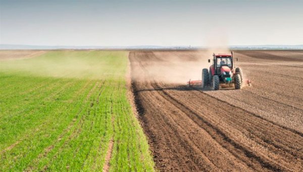 На Житомирщині збільшили посівні площі під кукурудзу, соняшник та сою На Житомирщині збільшили посівні площі під кукурудзу, соняшник та сою