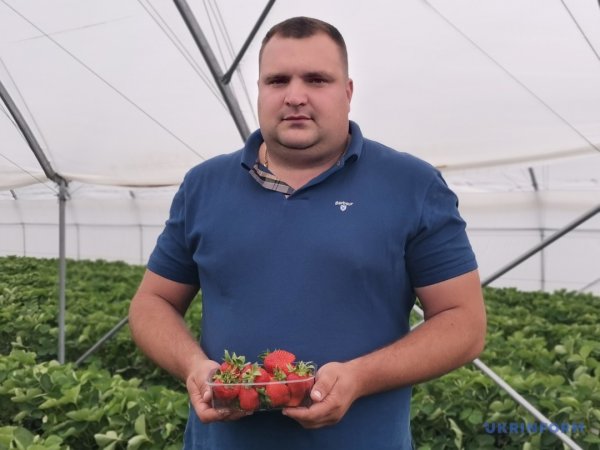 Грушеві сади і теплиці з суницею. Як допомагають державні гранти Грушеві сади і теплиці з суницею. Як допомагають державні гранти