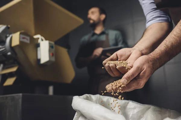 В Украине стартовали биржевые торги аграрной продукцией
В Украине стартовали биржевые торги аграрной продукцией