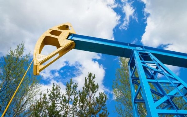 Звідки власна нафта в Україні та як намагаються наростити видобуток в умовах війни
Звідки власна нафта в Україні та як намагаються наростити видобуток в умовах війни