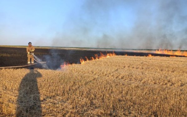 ДСНС: від початку в Україні від пожеж постраждало майже 26 тисяч гектарів земель
ДСНС: від початку в Україні від пожеж постраждало майже 26 тисяч гектарів земель
