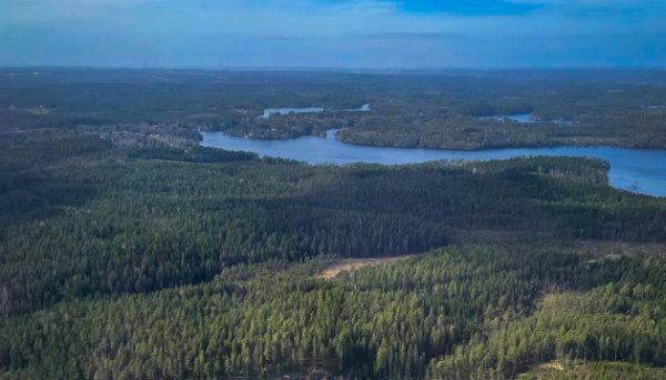 Частка заповідних земель у користуванні ДП «Ліси України» становить 16% Частка заповідних земель у користуванні ДП «Ліси України» становить 16%
