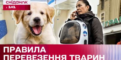 Курс валют на 9 июля: сколько стоят доллар, евро и злотый
Курс валют на 9 июля: сколько стоят доллар, евро и злотый