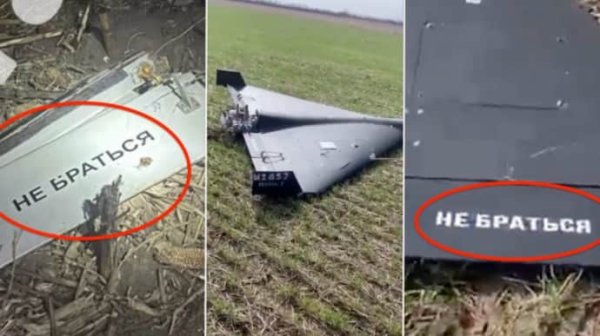 СМИ: На румынском берегу Дуная нашли вероятные обломки "Шахеда" СМИ: На румынском берегу Дуная нашли вероятные обломки "Шахеда"