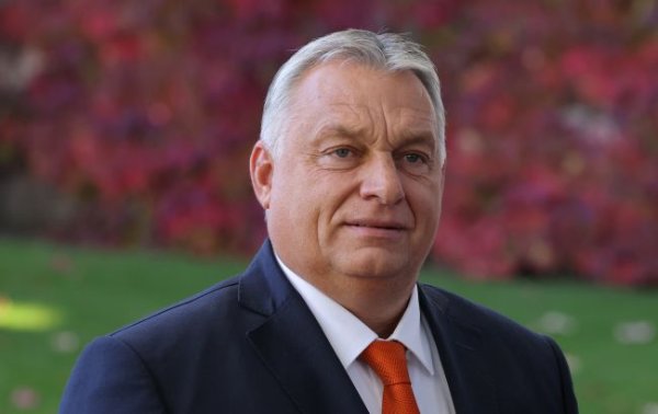 Орбан у Києві. Усі подробиці візиту прем'єра Угорщини до України
Орбан у Києві. Усі подробиці візиту прем'єра Угорщини до України