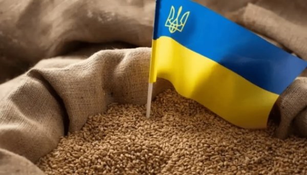Україна збільшила цьогоріч експорт зерна до 7 мільйонів тонн на місяць - президент УАК Україна збільшила цьогоріч експорт зерна до 7 мільйонів тонн на місяць - президент УАК