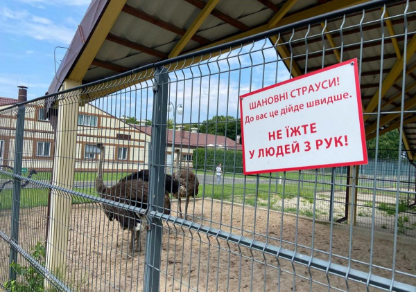 Колишня резиденція Януковича "Межигір'я" відновлює роботу після націоналізації (фоторепортаж) Колишня резиденція Януковича "Межигір'я" відновлює роботу після націоналізації (фоторепортаж)