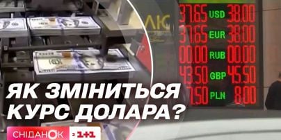 Курс валют на 26 июля: сколько стоят доллар, евро и злотый
Курс валют на 26 июля: сколько стоят доллар, евро и злотый