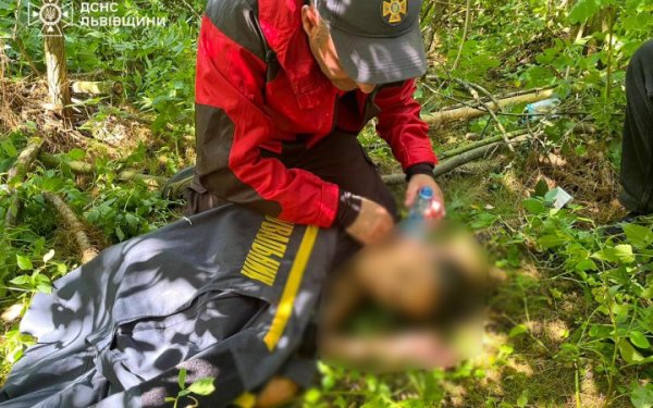 На Львівщині знайшли живою зниклу тиждень тому 11-річну дівчинку
На Львівщині знайшли живою зниклу тиждень тому 11-річну дівчинку