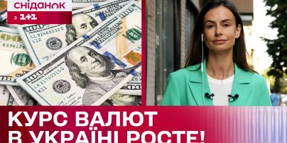 Курс валют на 24 июля: сколько стоят доллар, евро и злотый
Курс валют на 24 июля: сколько стоят доллар, евро и злотый