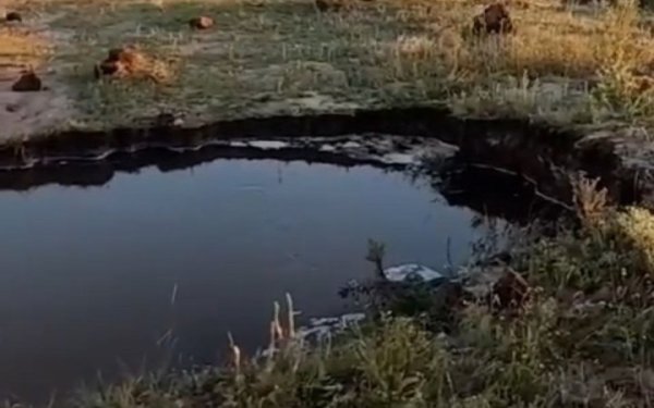 Завтра буде скорочено подачу води до Слов'янська, Краматорська, Дружківки та Костянтинівки
Завтра буде скорочено подачу води до Слов'янська, Краматорська, Дружківки та Костянтинівки