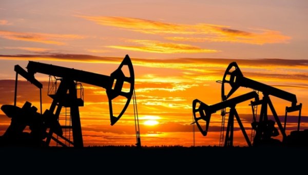 Ціни на нафту впали після заяви Трампа про намір звернутися до Саудівської Аравії та ОПЕК Ціни на нафту впали після заяви Трампа про намір звернутися до Саудівської Аравії та ОПЕК