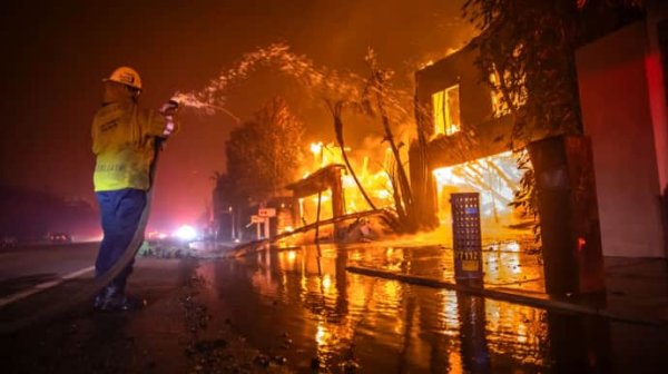 Зеленский предлагает отправить 150 пожарных в Калифорнию, где бушует огонь Зеленский предлагает отправить 150 пожарных в Калифорнию, где бушует огонь