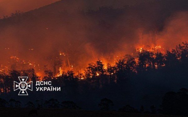 На Львівщині за добу внаслідок пожеж в екосистемах вигоріло понад 5 200 кв м сухої трави та чагарників
На Львівщині за добу внаслідок пожеж в екосистемах вигоріло понад 5 200 кв м сухої трави та чагарників