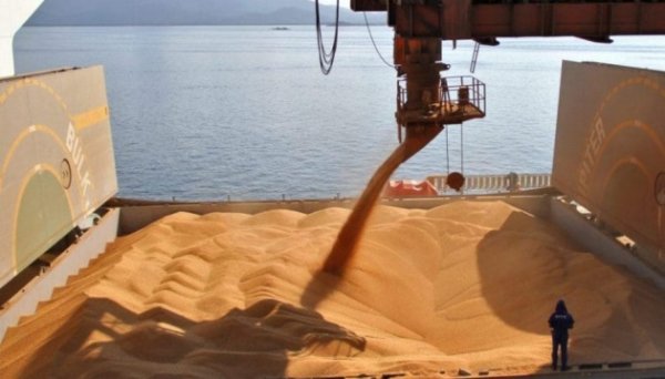 Україна через Дунайський та Одеський порти у січні експортувала 86% агропродукції - Коваль Україна через Дунайський та Одеський порти у січні експортувала 86% агропродукції - Коваль