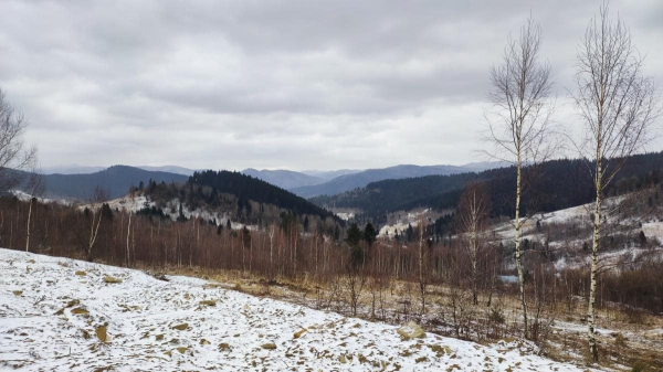 Спокій та краса: як цього року виглядає зимова Східниця (фоторепортаж, відео) Спокій та краса: як цього року виглядає зимова Східниця (фоторепортаж, відео)