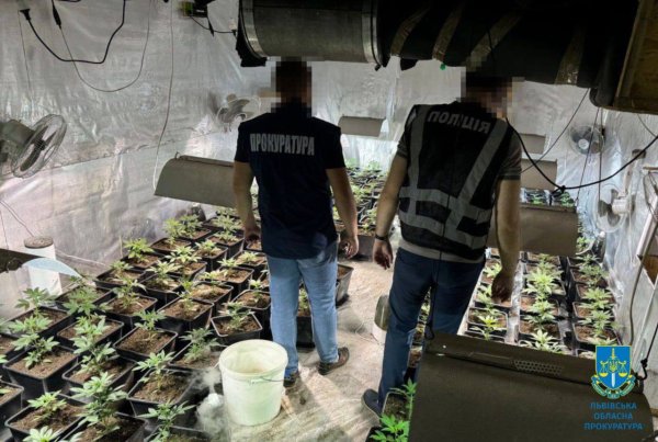У Львові судитимуть осіб, які вирощували канабіс та розповсюджували його по Україні
У Львові судитимуть осіб, які вирощували канабіс та розповсюджували його по Україні