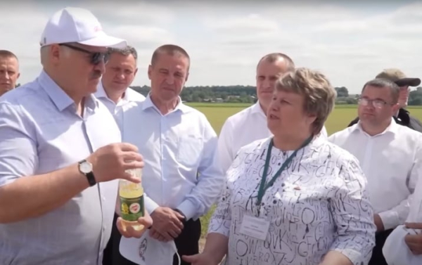 Беларусь продает ЕС масло из рапса, вывезенного из оккупированной Херсонской области — «Схемы»
Беларусь продает ЕС масло из рапса, вывезенного из оккупированной Херсонской области — «Схемы»