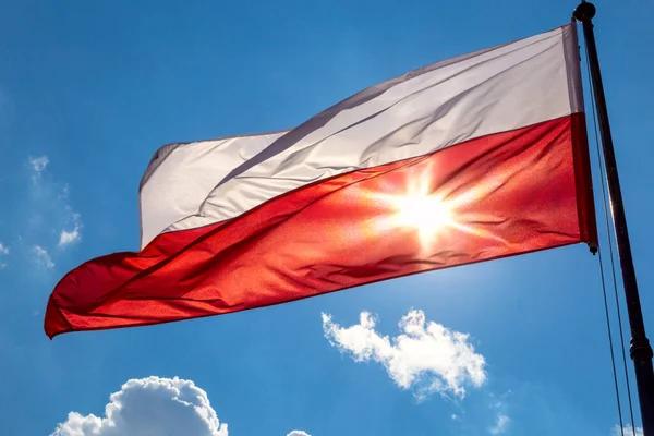 Нацбанк Польши выступил против создания биткоин-резерва
Нацбанк Польши выступил против создания биткоин-резерва