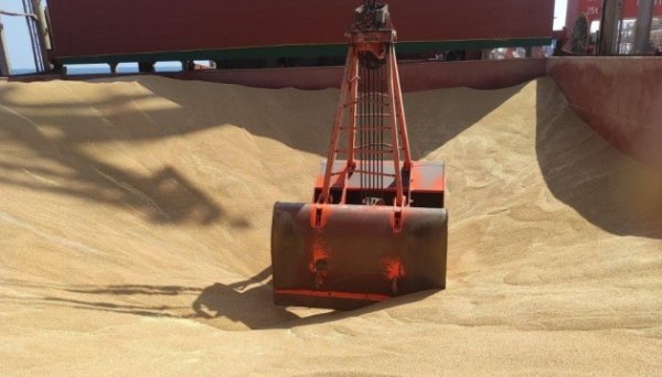 Україна в січні експортувала 5 мільйонів тонн агропродукції - УКАБ Україна в січні експортувала 5 мільйонів тонн агропродукції - УКАБ