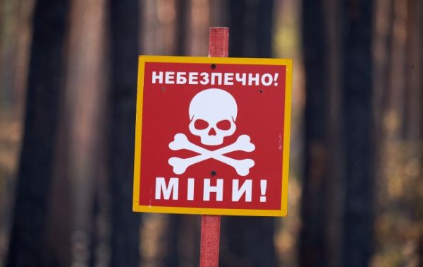 У Кіровоградській області невідомий предмет вибухнув у руках дитини: вона травмувалася
У Кіровоградській області невідомий предмет вибухнув у руках дитини: вона травмувалася
