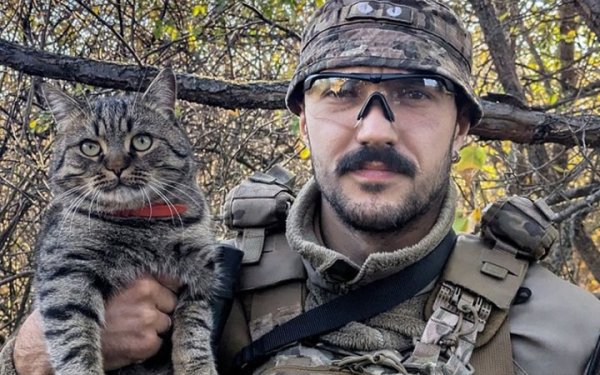 На фронті загинув госпітальєр, інструктор центру "Солом'янські котики" Олександр Олійник - друг "Богуш"
На фронті загинув госпітальєр, інструктор центру "Солом'янські котики" Олександр Олійник - друг "Богуш"