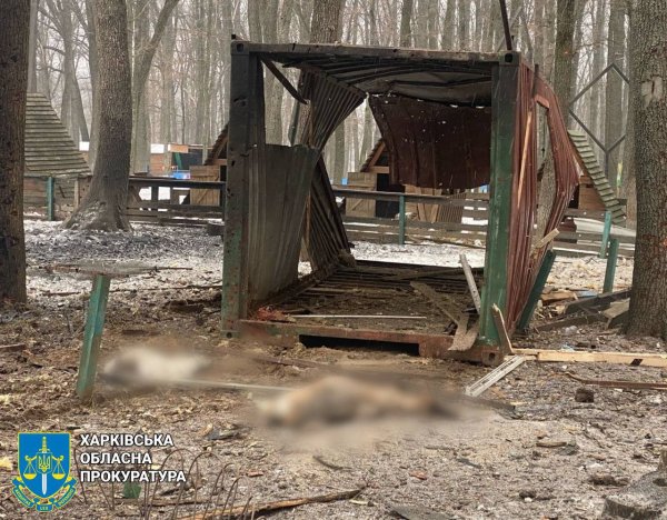 У Харківському екопарку через ворожий дрон загинули тварини
У Харківському екопарку через ворожий дрон загинули тварини