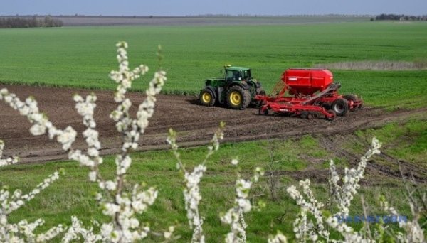 Посівна-2025: воєнні виклики і впливи погоди Посівна-2025: воєнні виклики і впливи погоди