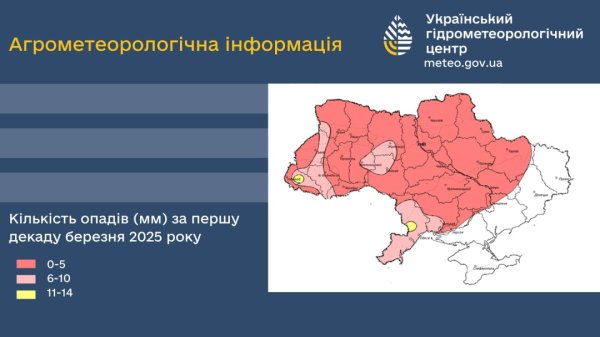 Перезимівля озимих культур в Україні завершилася задовільно - метеорологи