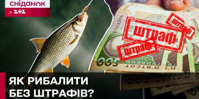 Курс валют на выходные, 22-23 марта: сколько стоят доллар, евро и злотый
Курс валют на выходные, 22-23 марта: сколько стоят доллар, евро и злотый