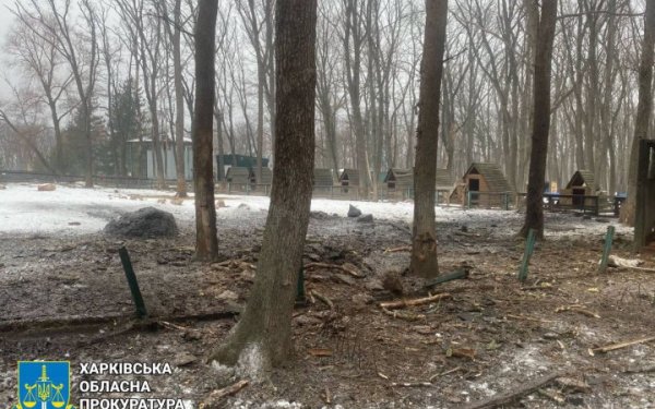 У Харківському екопарку через ворожий дрон загинули тварини
У Харківському екопарку через ворожий дрон загинули тварини