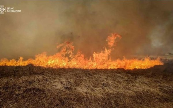 Бійці ДСНС врятували на Київщині трьох дітей
Бійці ДСНС врятували на Київщині трьох дітей