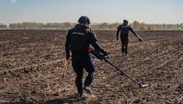 Розмінування агроземель: за програмою компенсацій очистили перші 1000 гектарів Розмінування агроземель: за програмою компенсацій очистили перші 1000 гектарів