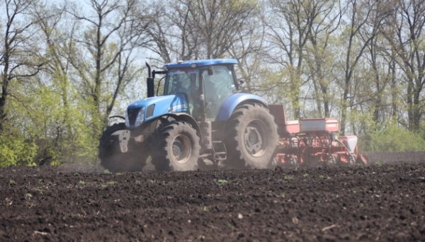 В Україні створять Виплатну агенцію для надання допомоги аграріям В Україні створять Виплатну агенцію для надання допомоги аграріям