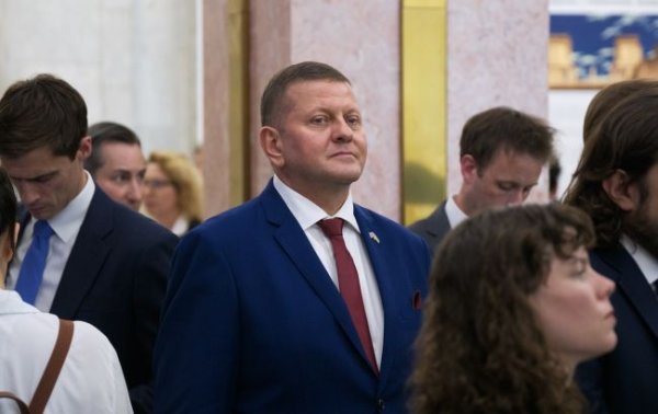 Залужний зробив заяву про свою участь у виборах
Залужний зробив заяву про свою участь у виборах