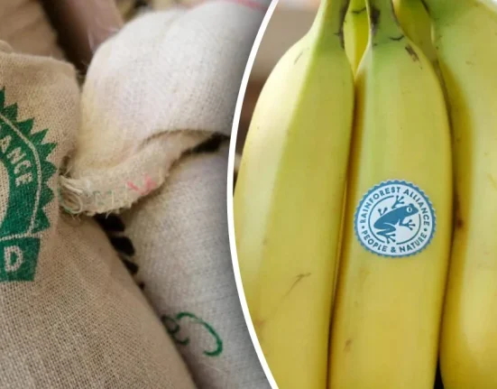 Чи варто купувати продукти з логотипом зеленої жаби