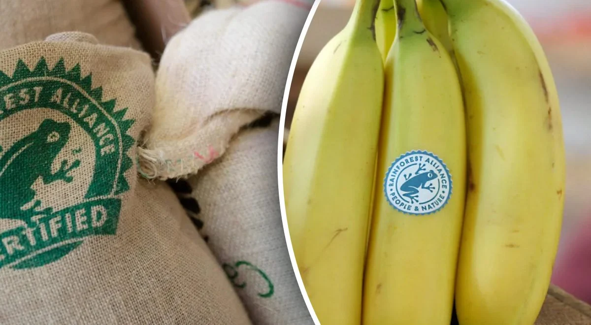 Чи варто купувати продукти з логотипом зеленої жаби