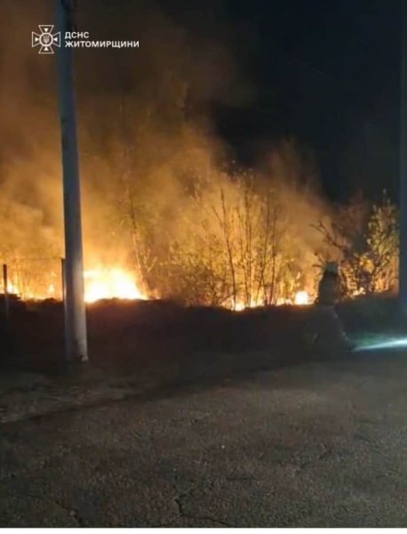 Двое полицейских пострадали во время атаки на Житомирщину - ОВА Двое полицейских пострадали во время атаки на Житомирщину - ОВА