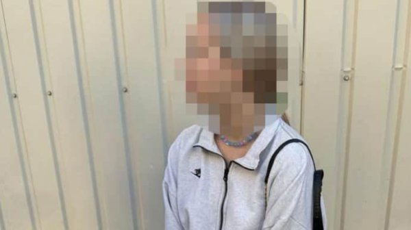 В Харькове школьница подожгла два внедорожника ВСУ В Харькове школьница подожгла два внедорожника ВСУ