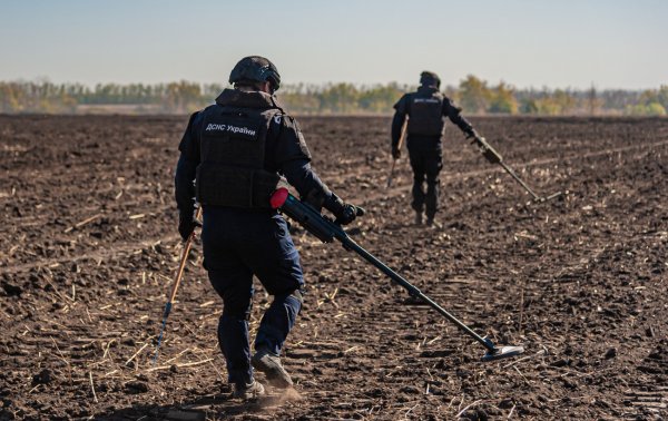 Академік НАН: На місці Каховського водосховища за 20 років виросте унікальний ліс
Академік НАН: На місці Каховського водосховища за 20 років виросте унікальний ліс