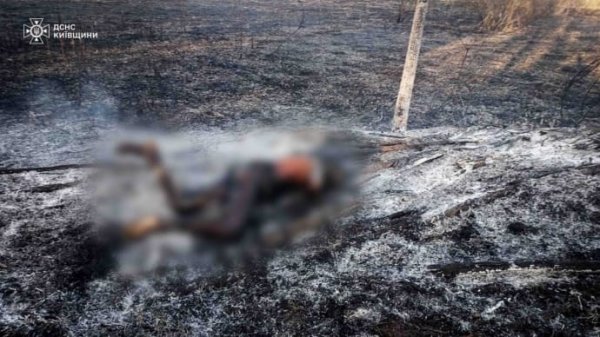 Два человека погибли во время сжигания травы на Киевщине