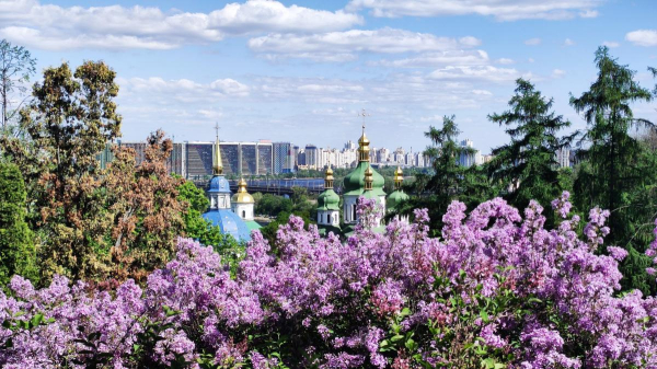 У київському ботсаду розпочався сезон цвітіння бузку – це не можна пропустити (фоторепортаж) У київському ботсаду розпочався сезон цвітіння бузку – це не можна пропустити (фоторепортаж)