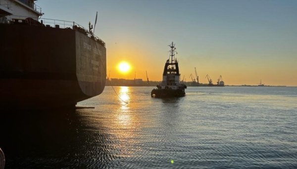 Україна торік збільшила аграрний експорт до ЄС на 11% Україна торік збільшила аграрний експорт до ЄС на 11%