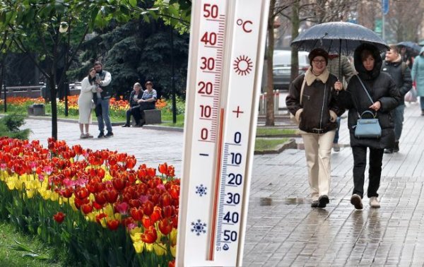 Тепло чи раптове похолодання? Прогноз погоди в Україні на 24 квітня
Тепло чи раптове похолодання? Прогноз погоди в Україні на 24 квітня