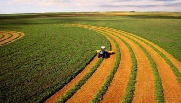 Скільки продали сільгоспугідь: у Мінагрополітики розповіли про три роки роботи ринку землі Скільки продали сільгоспугідь: у Мінагрополітики розповіли про три роки роботи ринку землі