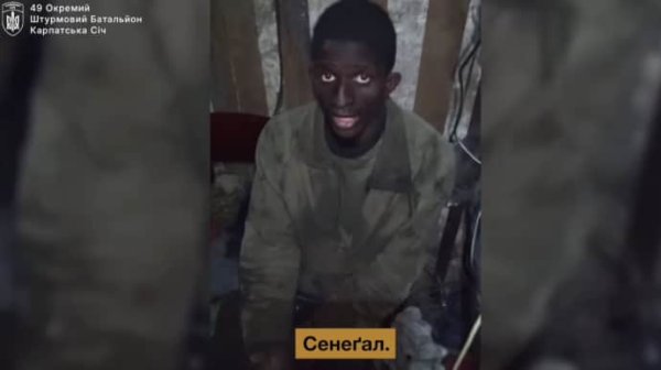 Украинские бойцы в Донецкой области взяли в плен гражданина Сенегала Украинские бойцы в Донецкой области взяли в плен гражданина Сенегала