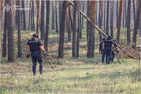 На Харківщині під час гасіння пожежі підірвався автомобіль лісгоспу, постраждали двоє лісників
На Харківщині під час гасіння пожежі підірвався автомобіль лісгоспу, постраждали двоє лісників
