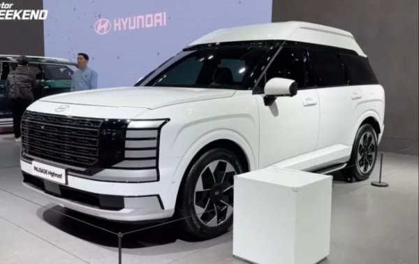 Кросовер Hyundai Palisade отримав незвично високий дах: подробиці
Кросовер Hyundai Palisade отримав незвично високий дах: подробиці